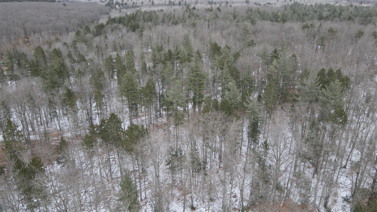 3010 Mt Tom Road Comins, MI 48619 - Photo 31 of 97
