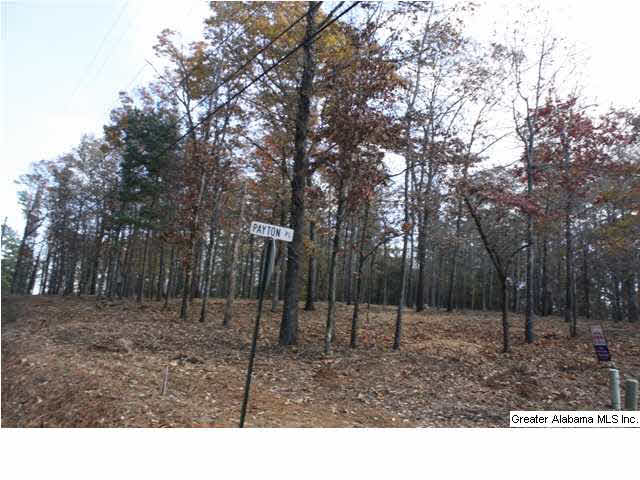 Peyton Place, Unit 3 Weaver, AL 36277 - Photo 15 of 40
