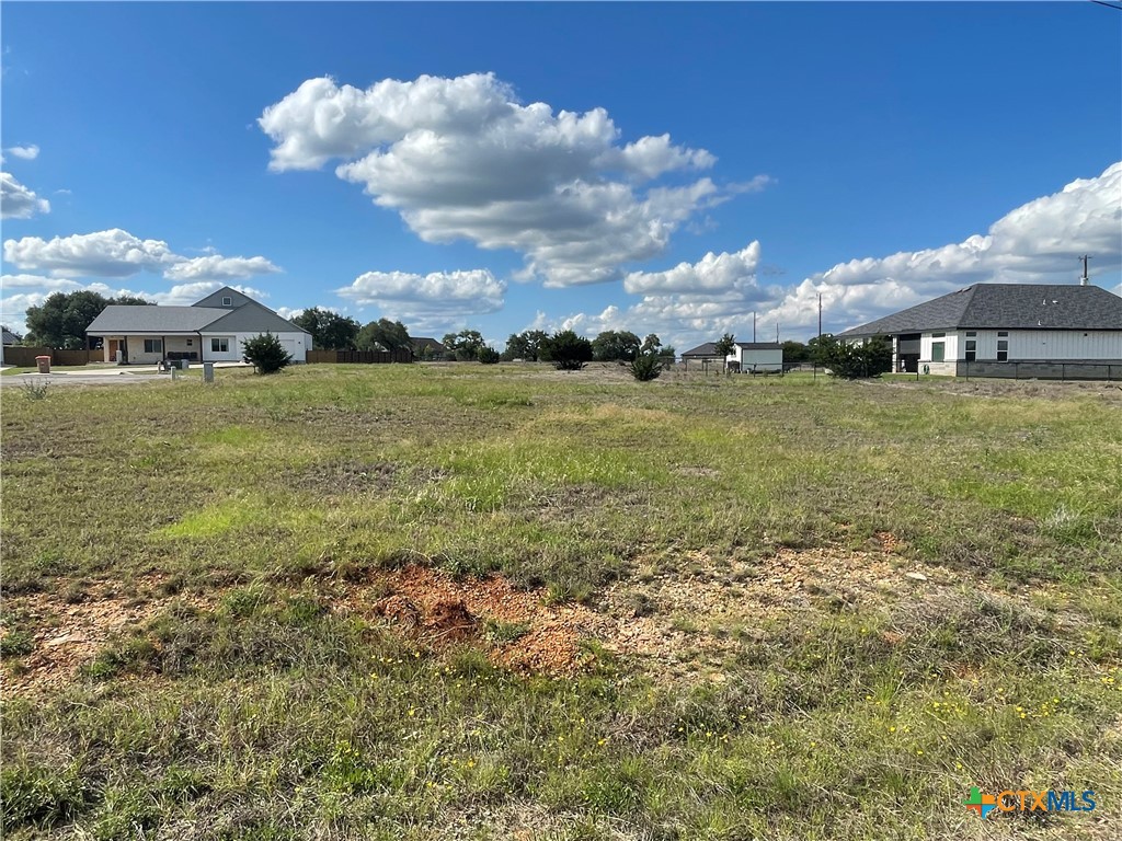Tbd Joseph Durst Blanco, TX 78606 - Photo 4 of 11 a view of a garden