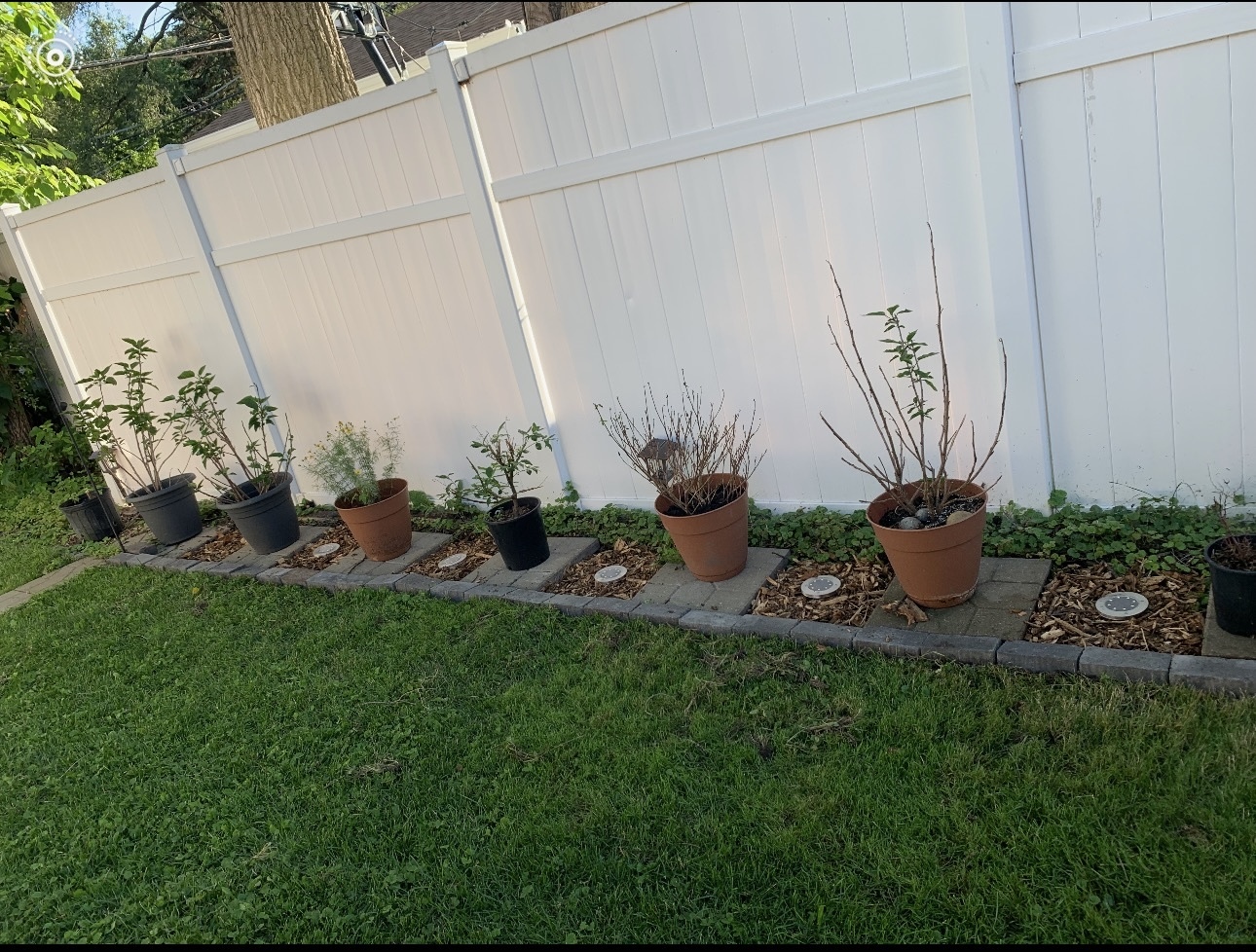 2412 Greenleaf Street Evanston, IL 60202 - Photo 19 of 20 a view of a backyard with plants and a bench