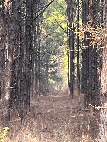 $115,000 | Na Kickapoo Road, Groveton, TX 75845