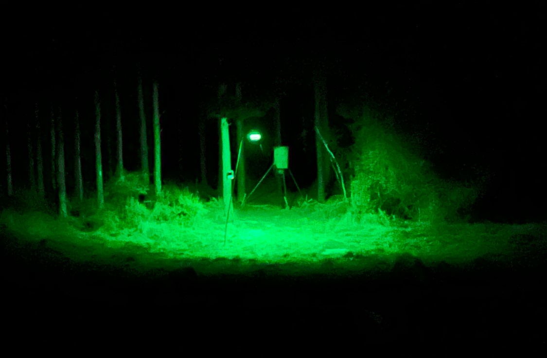 Na Kickapoo Road Groveton, TX 75845 - Photo 3 of 20