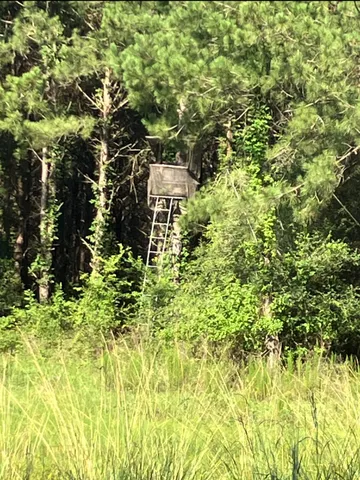 $115,000 | Na Kickapoo Road, Groveton, TX 75845