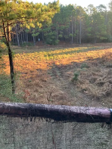 $115,000 | Na Kickapoo Road, Groveton, TX 75845