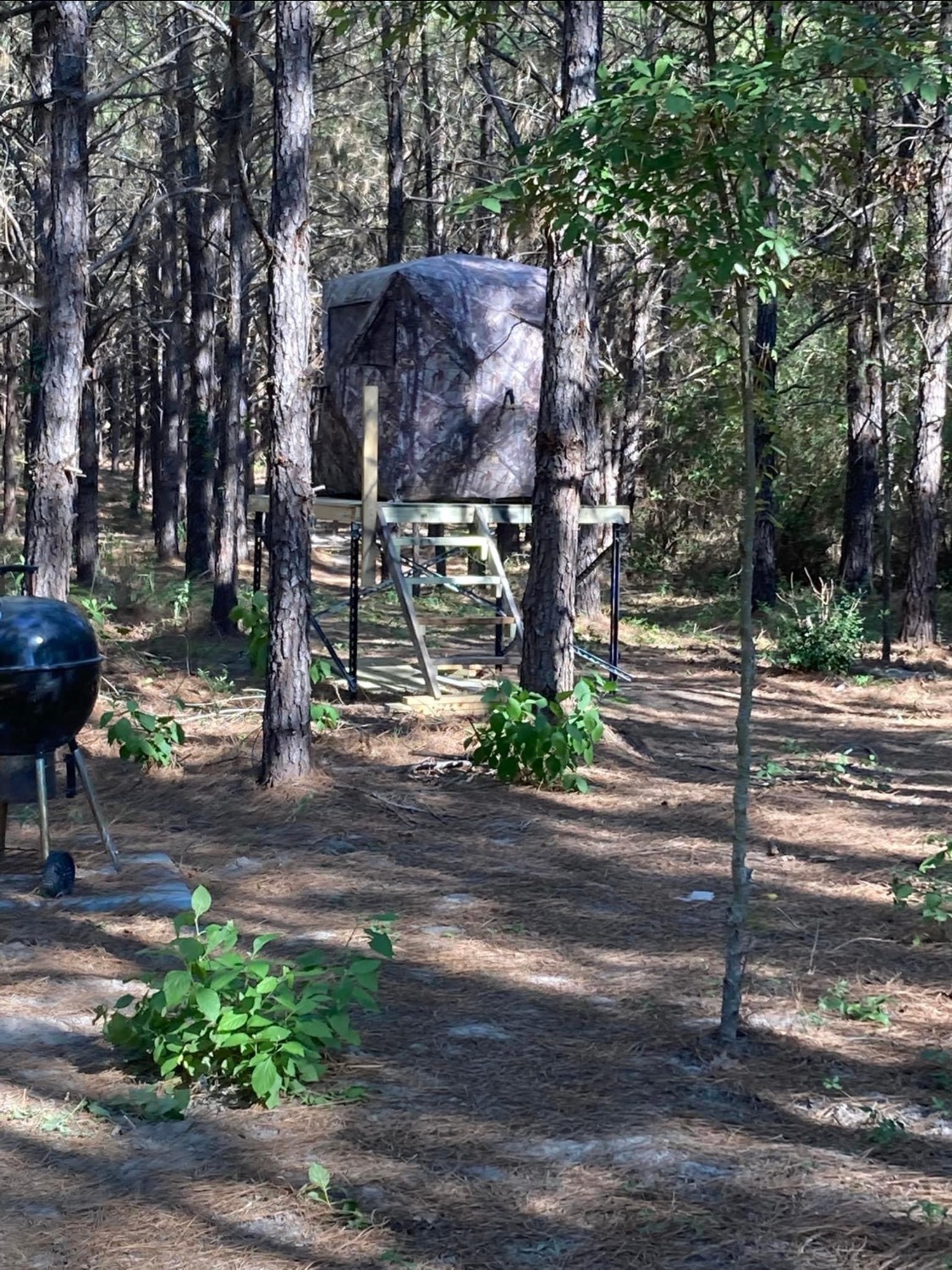 Na Kickapoo Road Groveton, TX 75845 - Photo 8 of 20