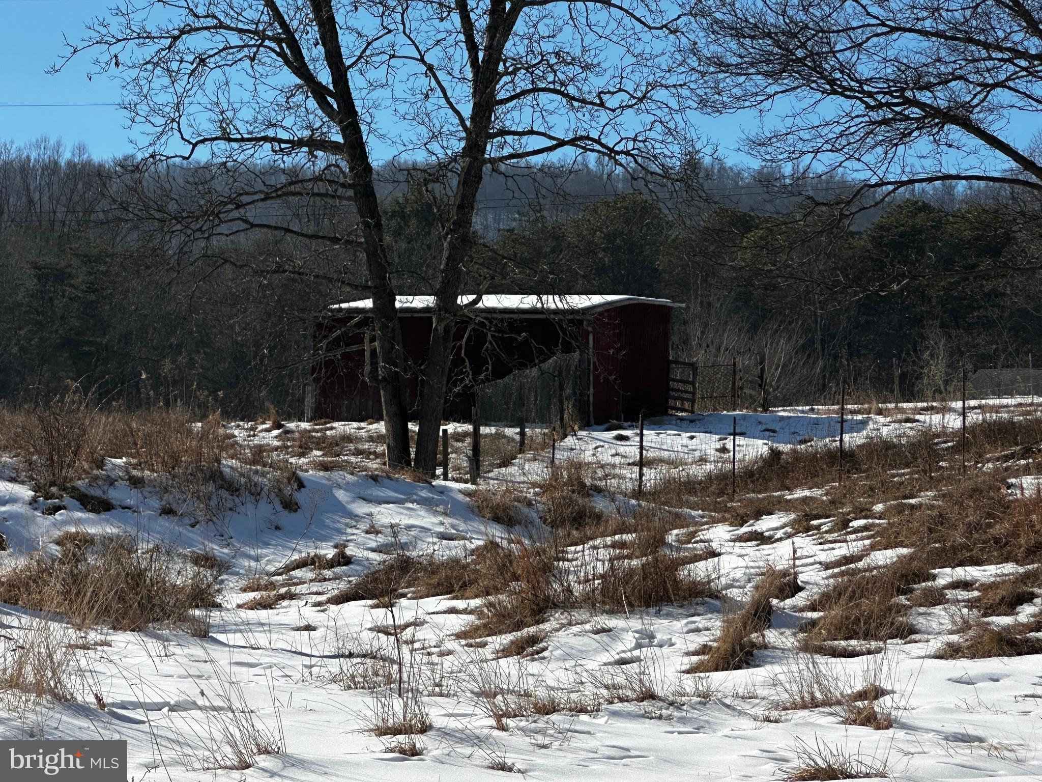 3500 Paw Paw Road Paw Paw, WV 25434 - Photo 12 of 48 Pasture