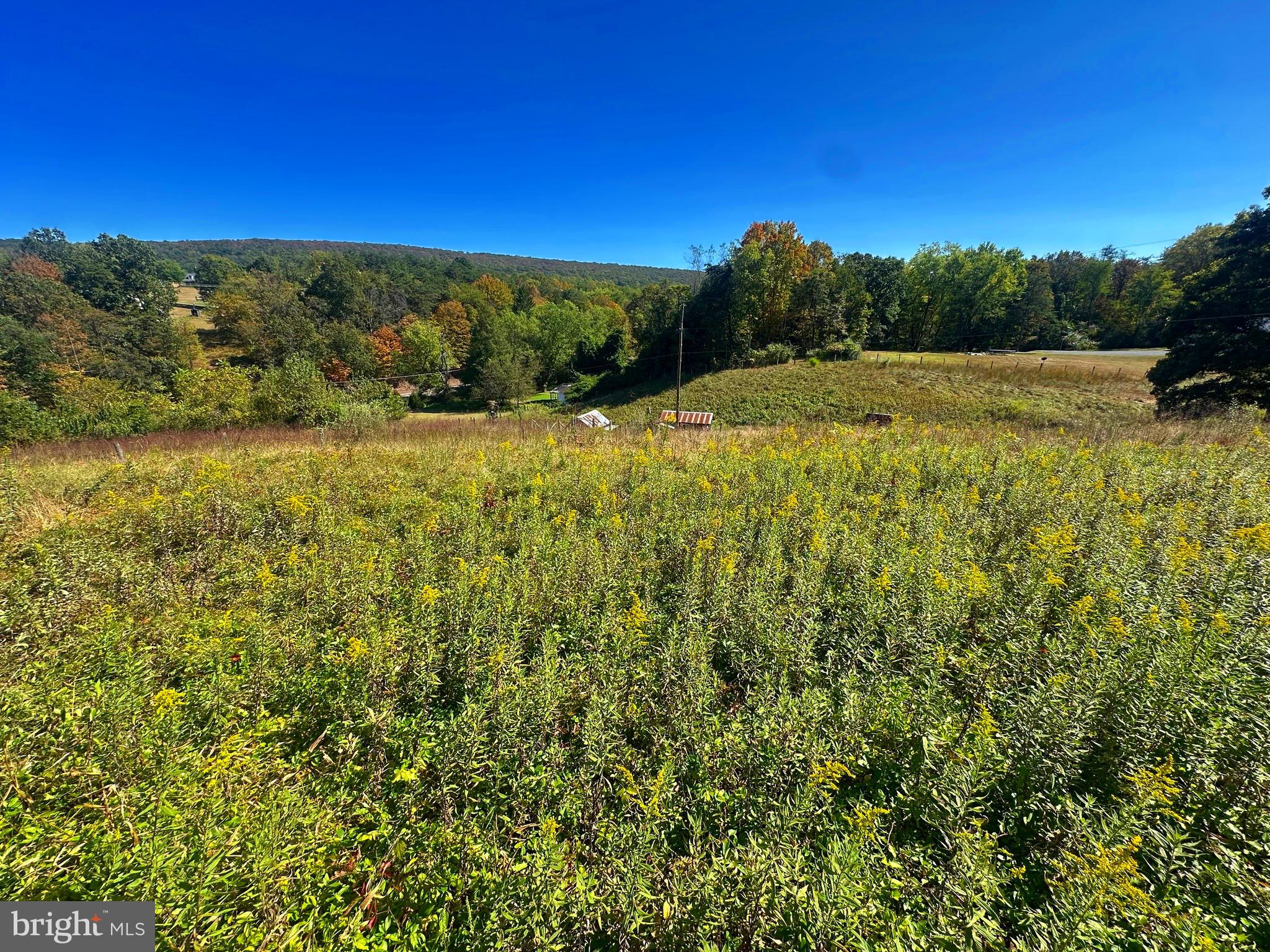 3500 Paw Paw Road Paw Paw, WV 25434 - Photo 6 of 48