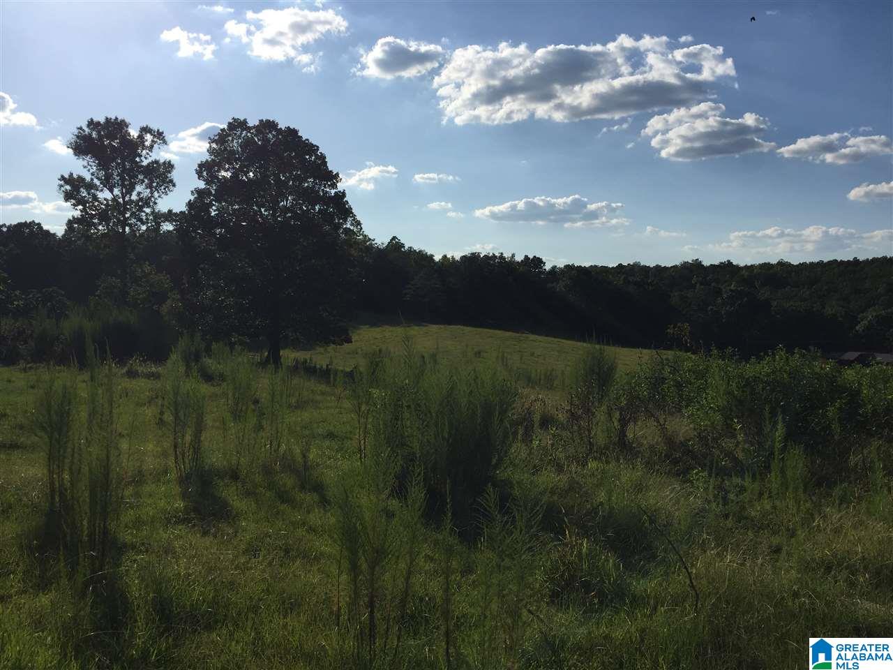 0 Valley Creek Road Piedmont, AL 36272 - Photo 10 of 28