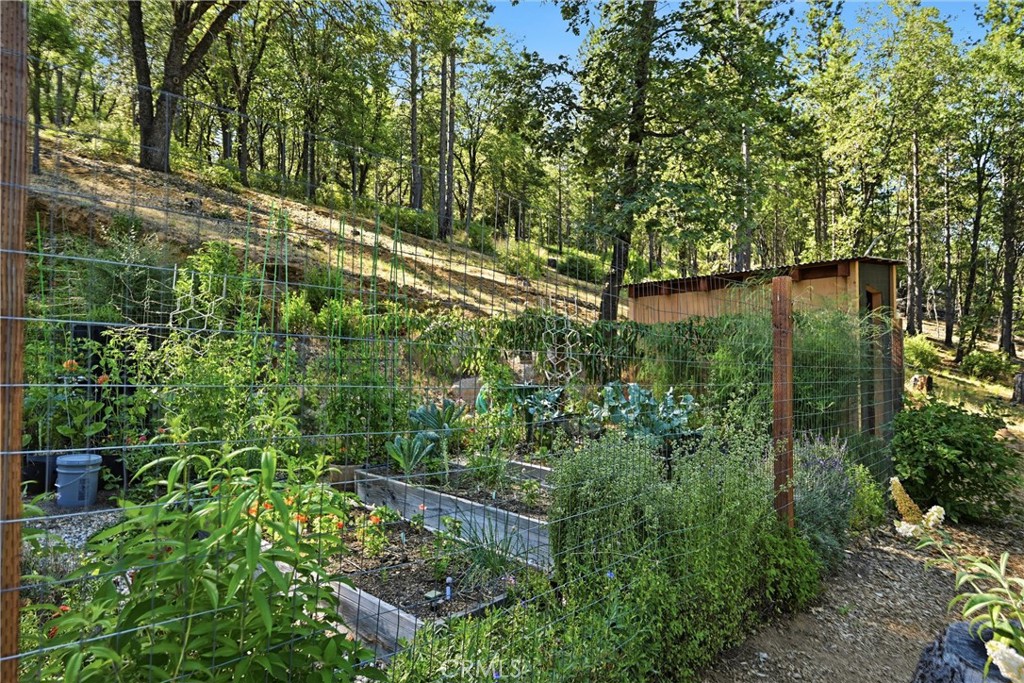 11240 Loch Lomond Road Middletown, CA 95461 - Photo 42 of 54