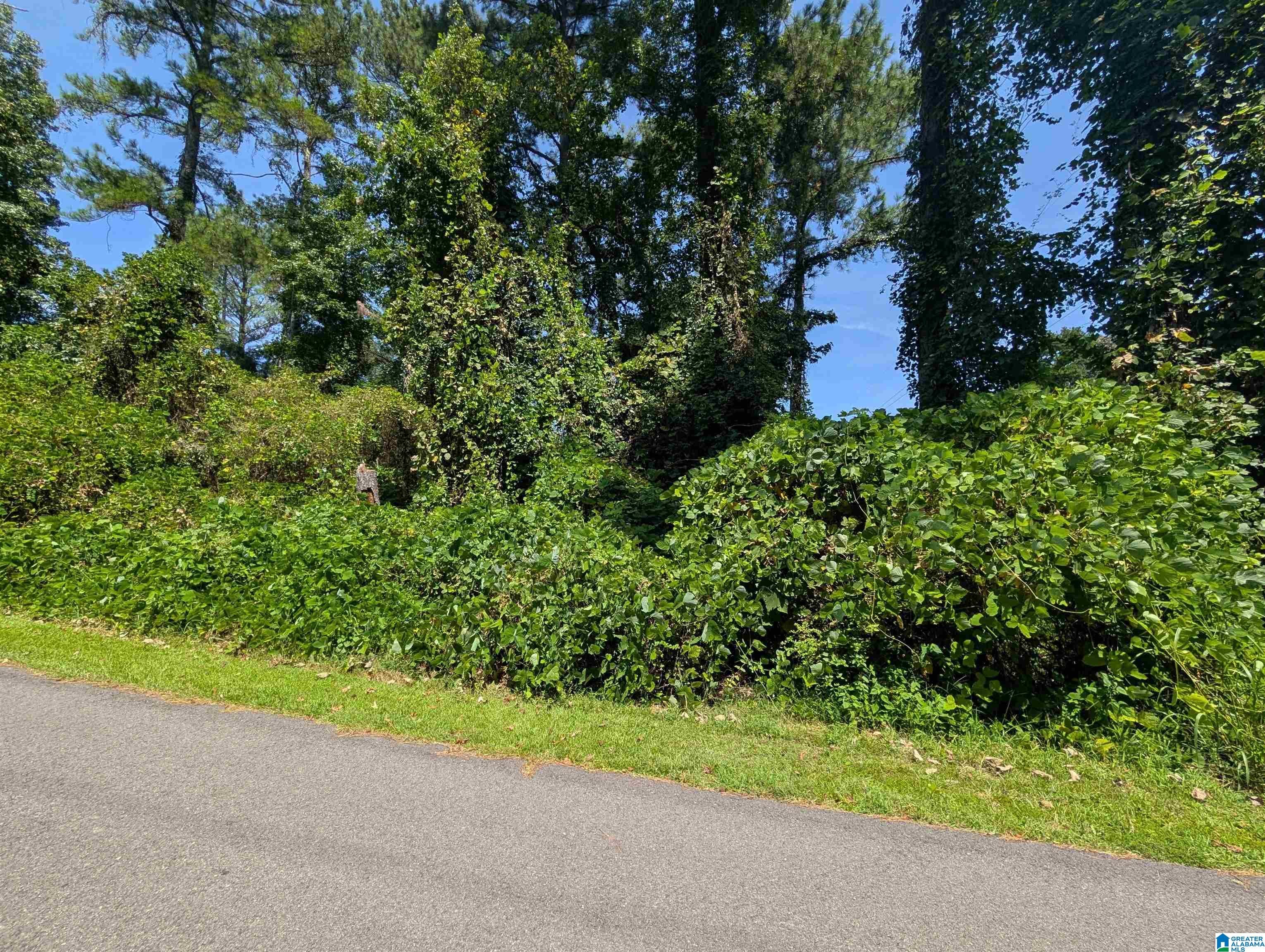 0 Hilltop Road Weaver, AL 36277 - Photo 5 of 18 Gallery Image 5