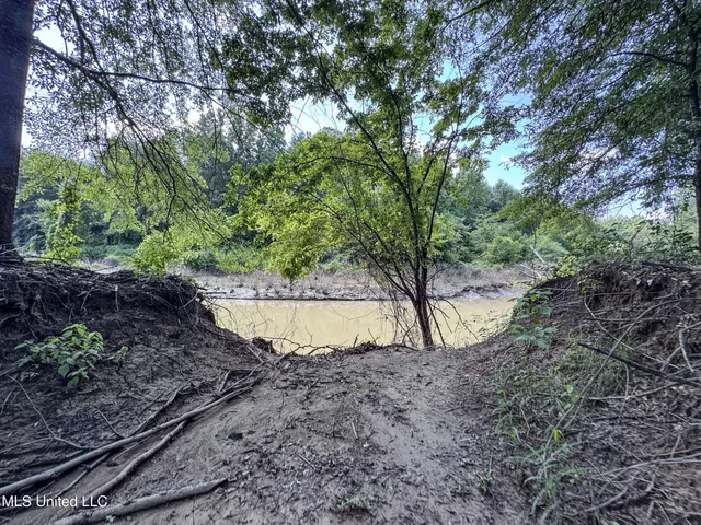 $779,000 | 278 278th, Marks, MS 38646