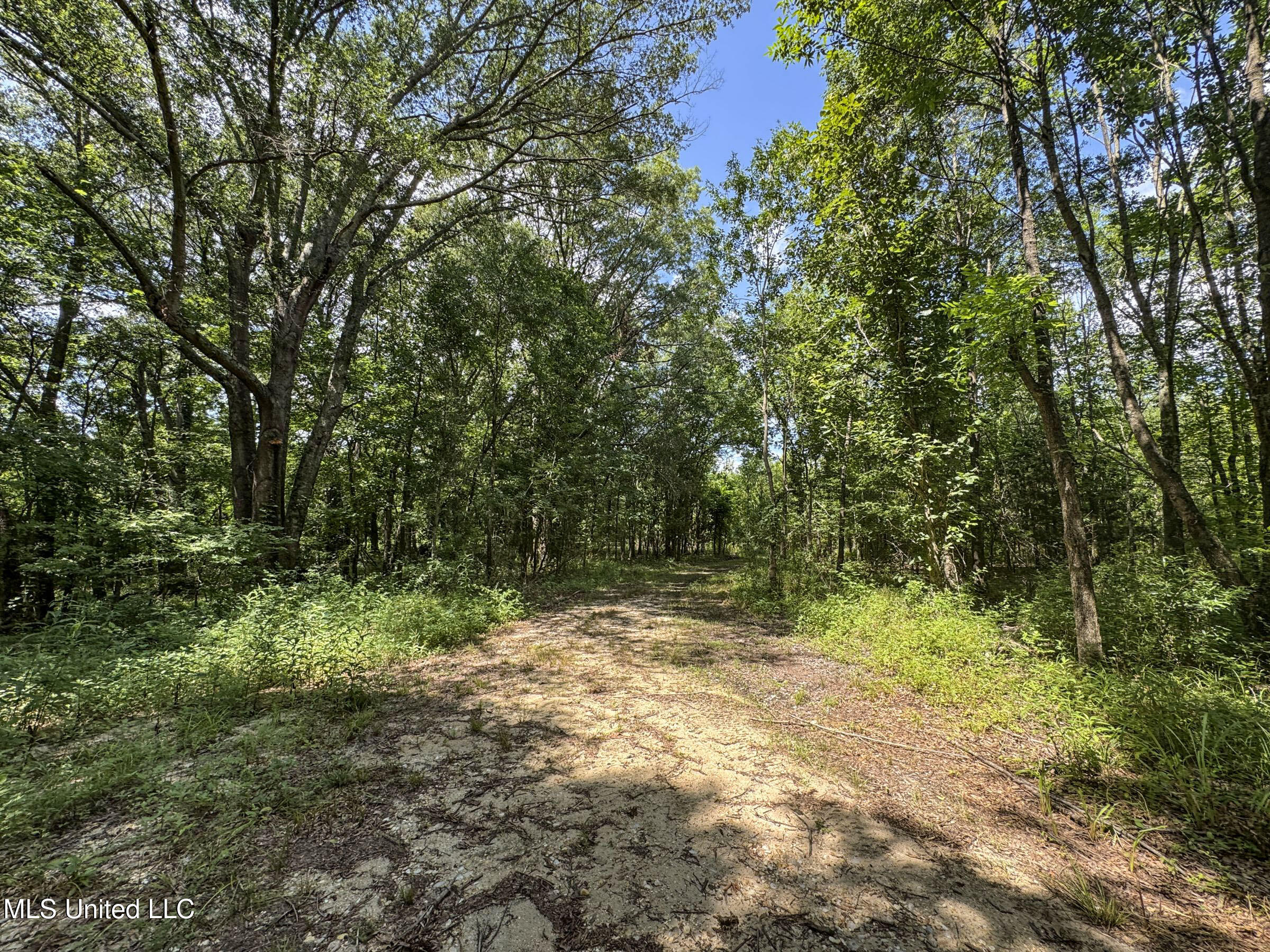 278 278th Marks, MS 38646 - Photo 103 of 125 7bobo98