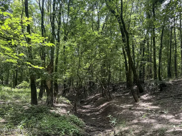 $779,000 | 278 278th, Marks, MS 38646