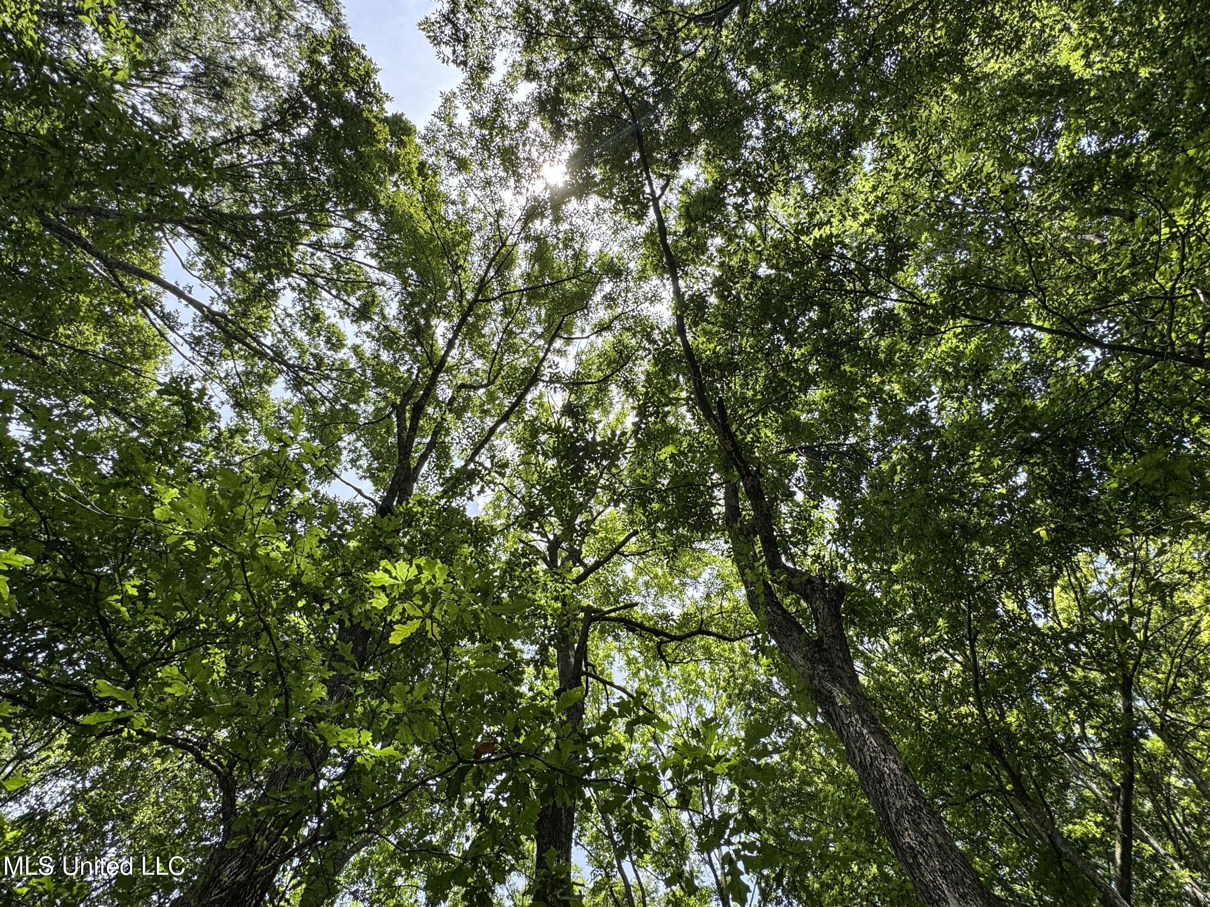 278 278th Marks, MS 38646 - Photo 105 of 125 7bobo109