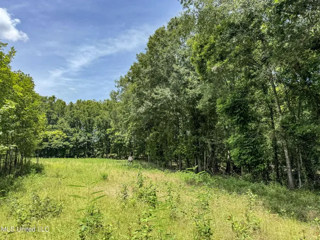 $779,000 | 278 278th, Marks, MS 38646
