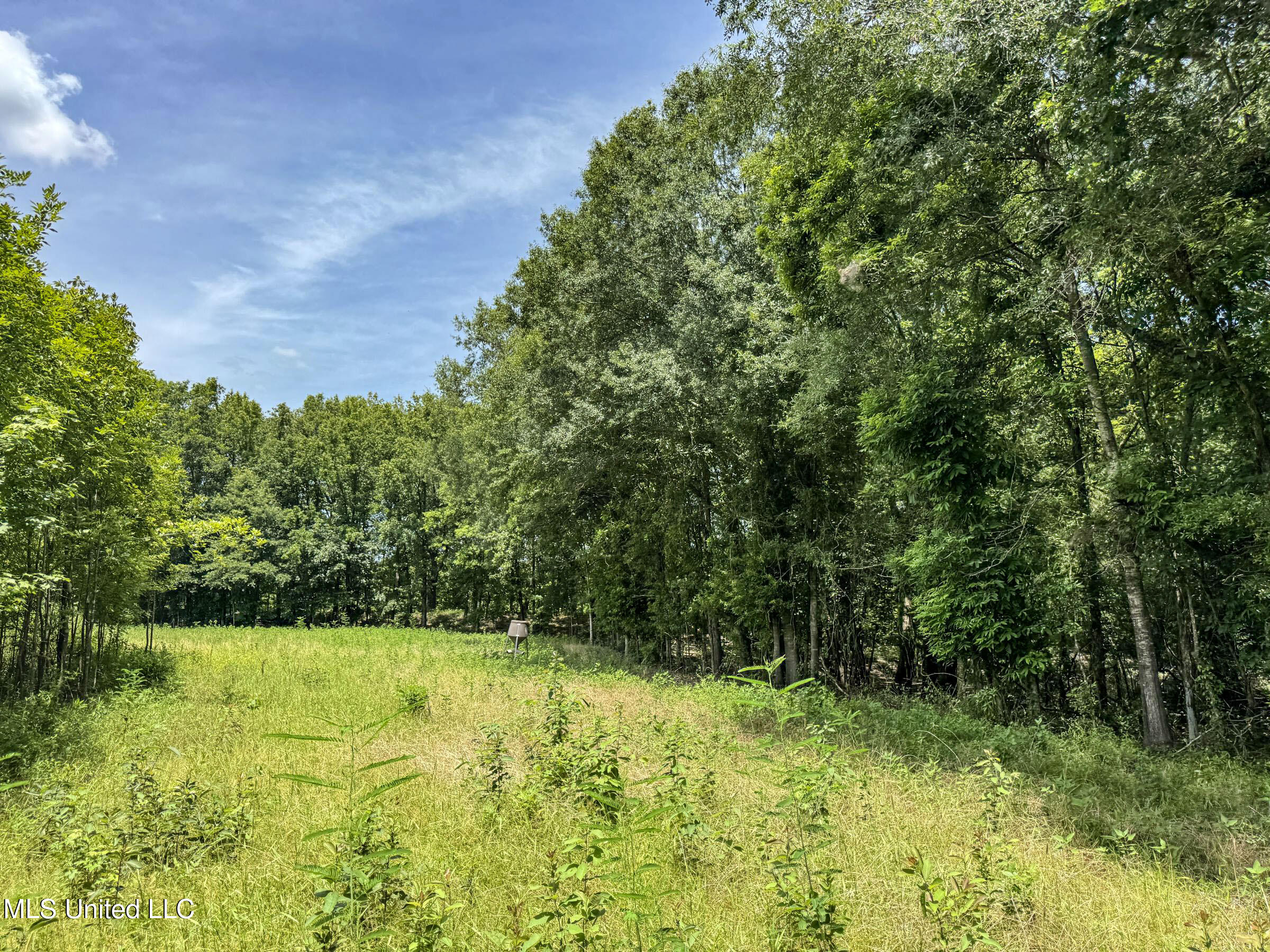 278 278th Marks, MS 38646 - Photo 108 of 125 7bobo114