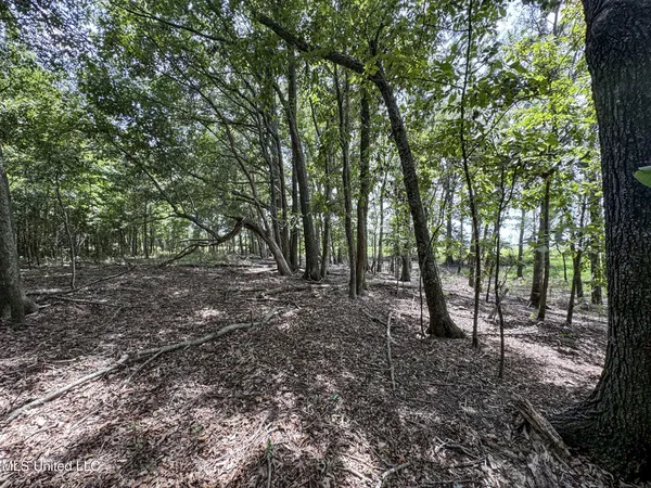 $779,000 | 278 278th, Marks, MS 38646