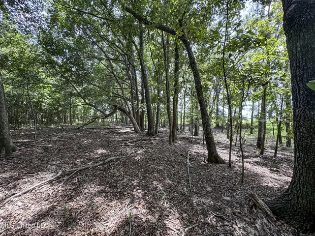 $779,000 | 278 278th, Marks, MS 38646