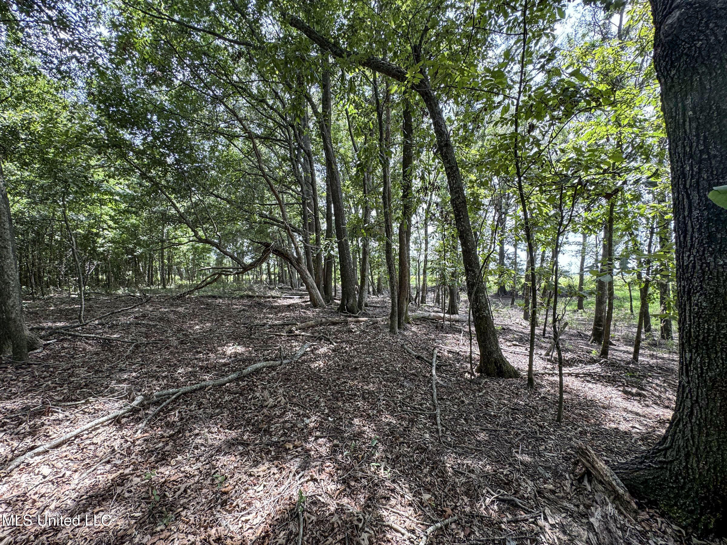 278 278th Marks, MS 38646 - Photo 109 of 125 7bobo117