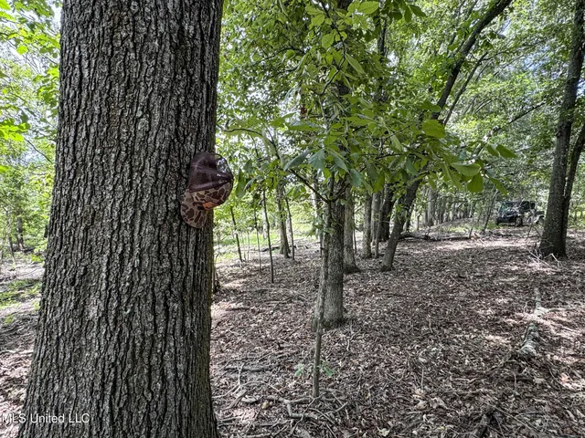 $779,000 | 278 278th, Marks, MS 38646