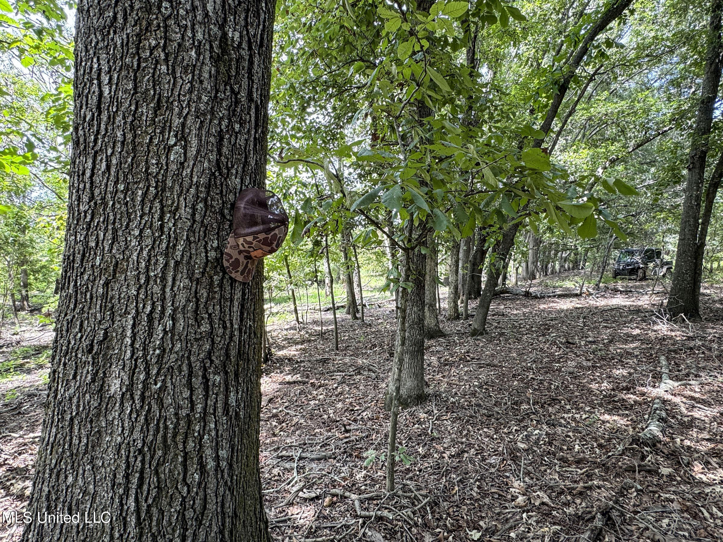 278 278th Marks, MS 38646 - Photo 110 of 125 7bobo118