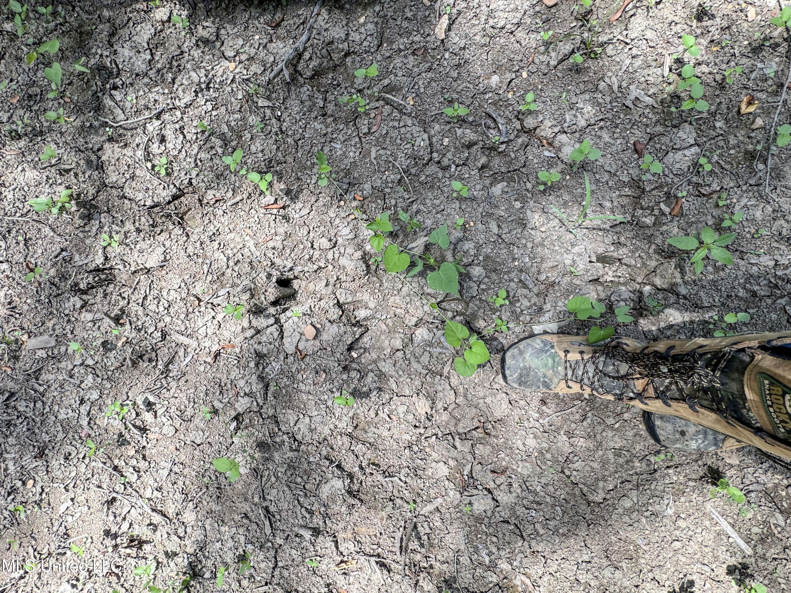 278 278th Marks, MS 38646 - Photo 112 of 125 7bobo127