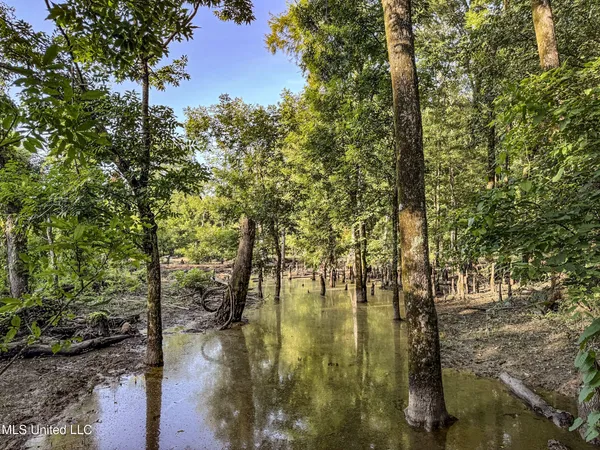 $779,000 | 278 278th, Marks, MS 38646