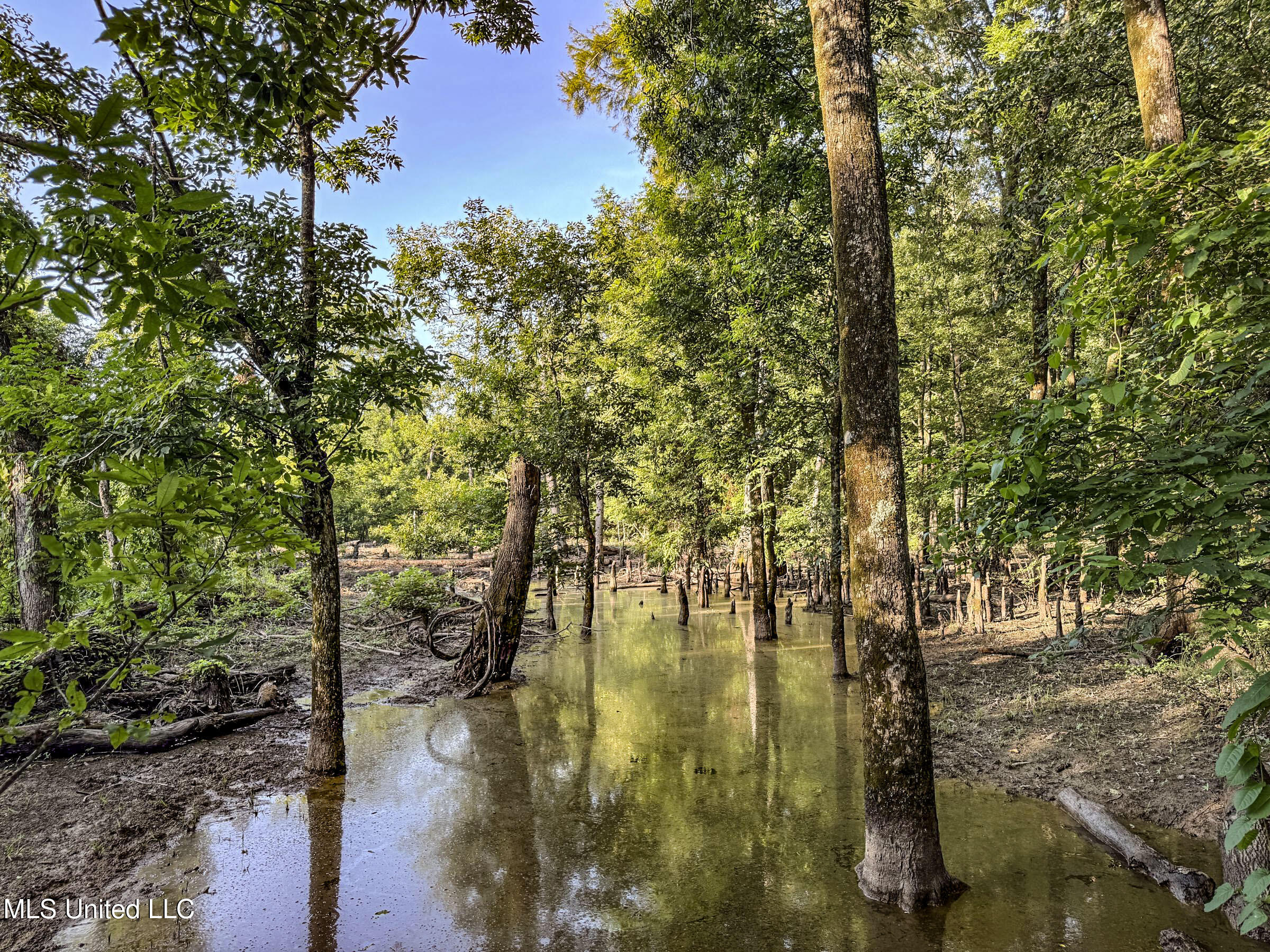 278 278th Marks, MS 38646 - Photo 114 of 125 7bobo145