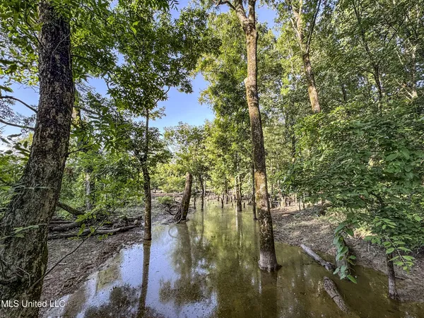 $779,000 | 278 278th, Marks, MS 38646