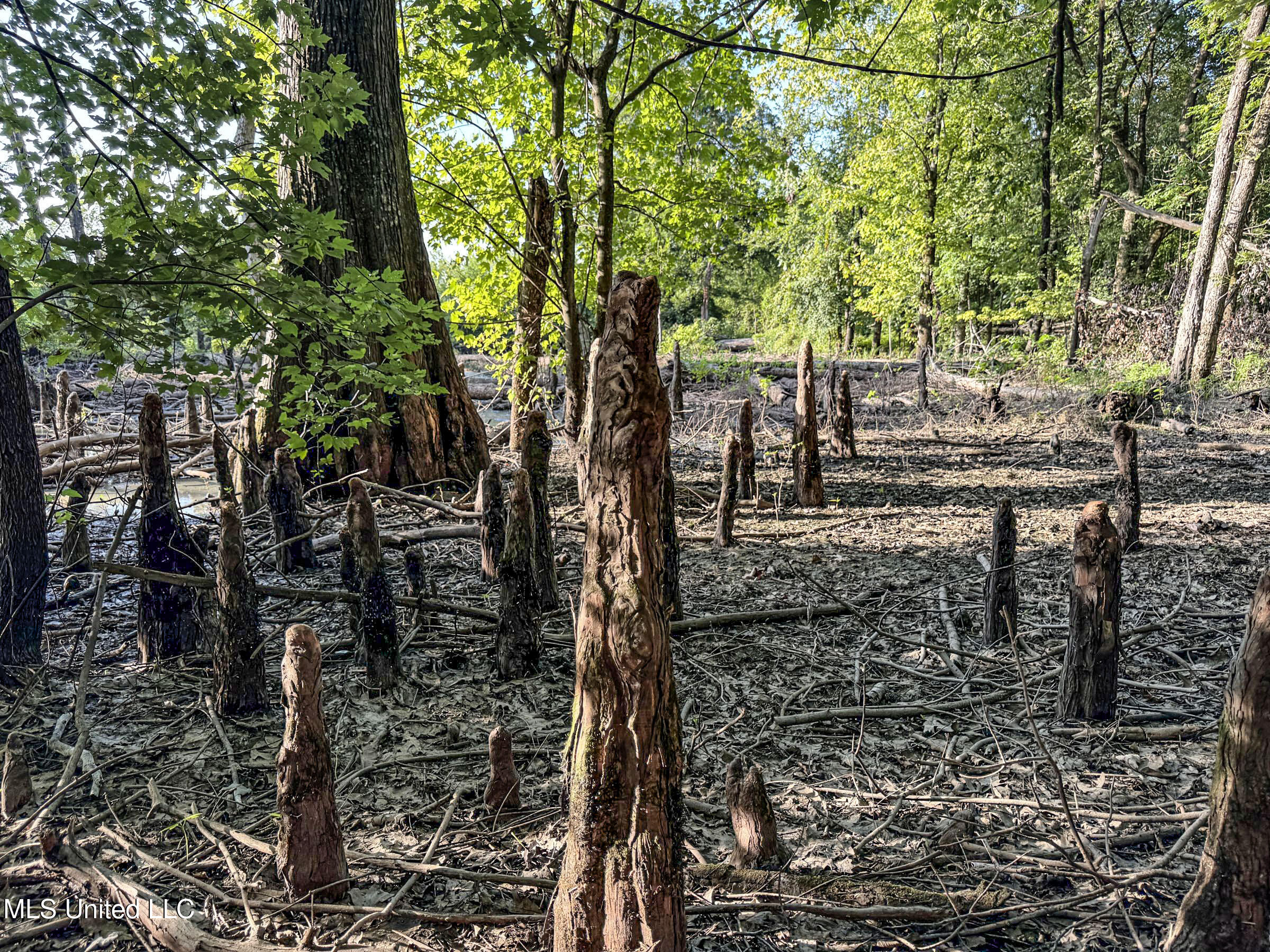 278 278th Marks, MS 38646 - Photo 116 of 125 7bobo149