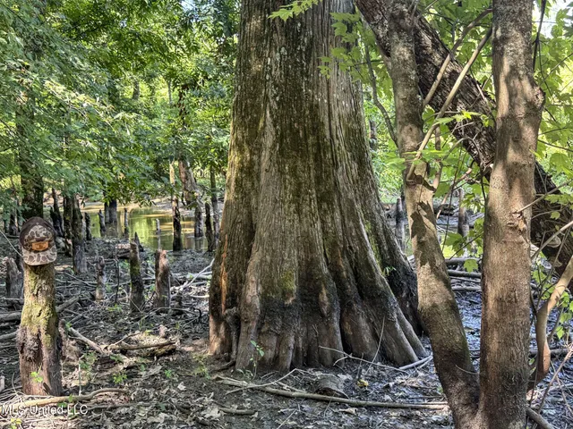 $779,000 | 278 278th, Marks, MS 38646