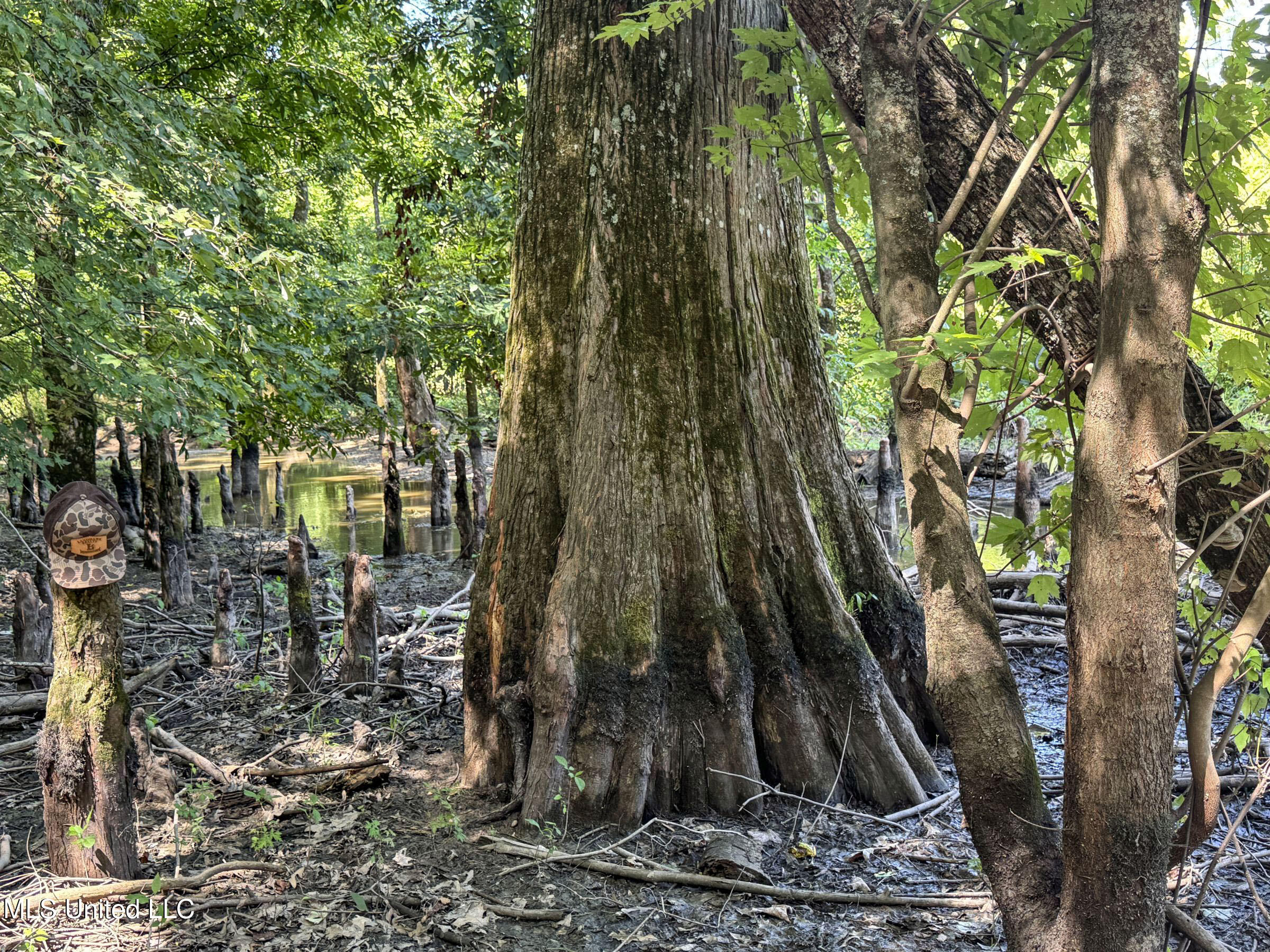 278 278th Marks, MS 38646 - Photo 118 of 125 7bobo155a