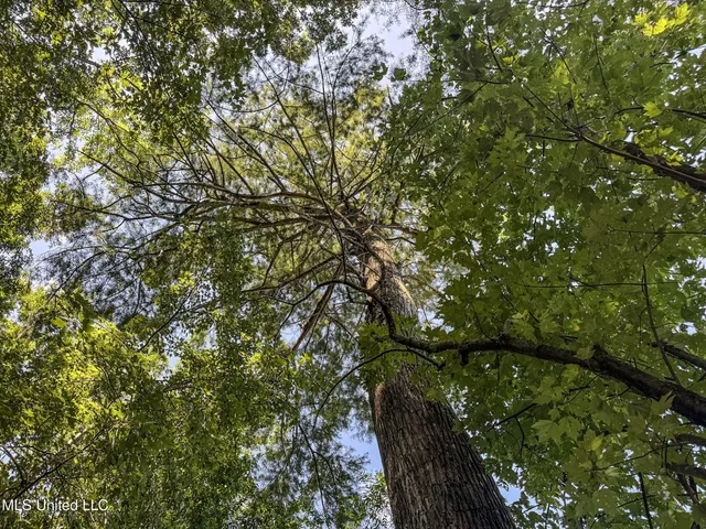 $779,000 | 278 278th, Marks, MS 38646