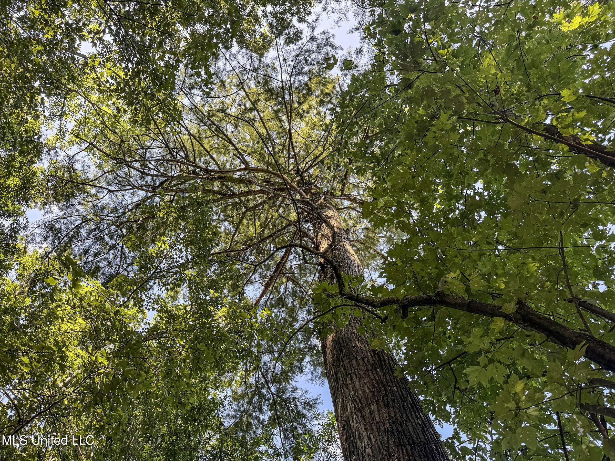 278 278th Marks, MS 38646 - Photo 119 of 125 7bobo155c