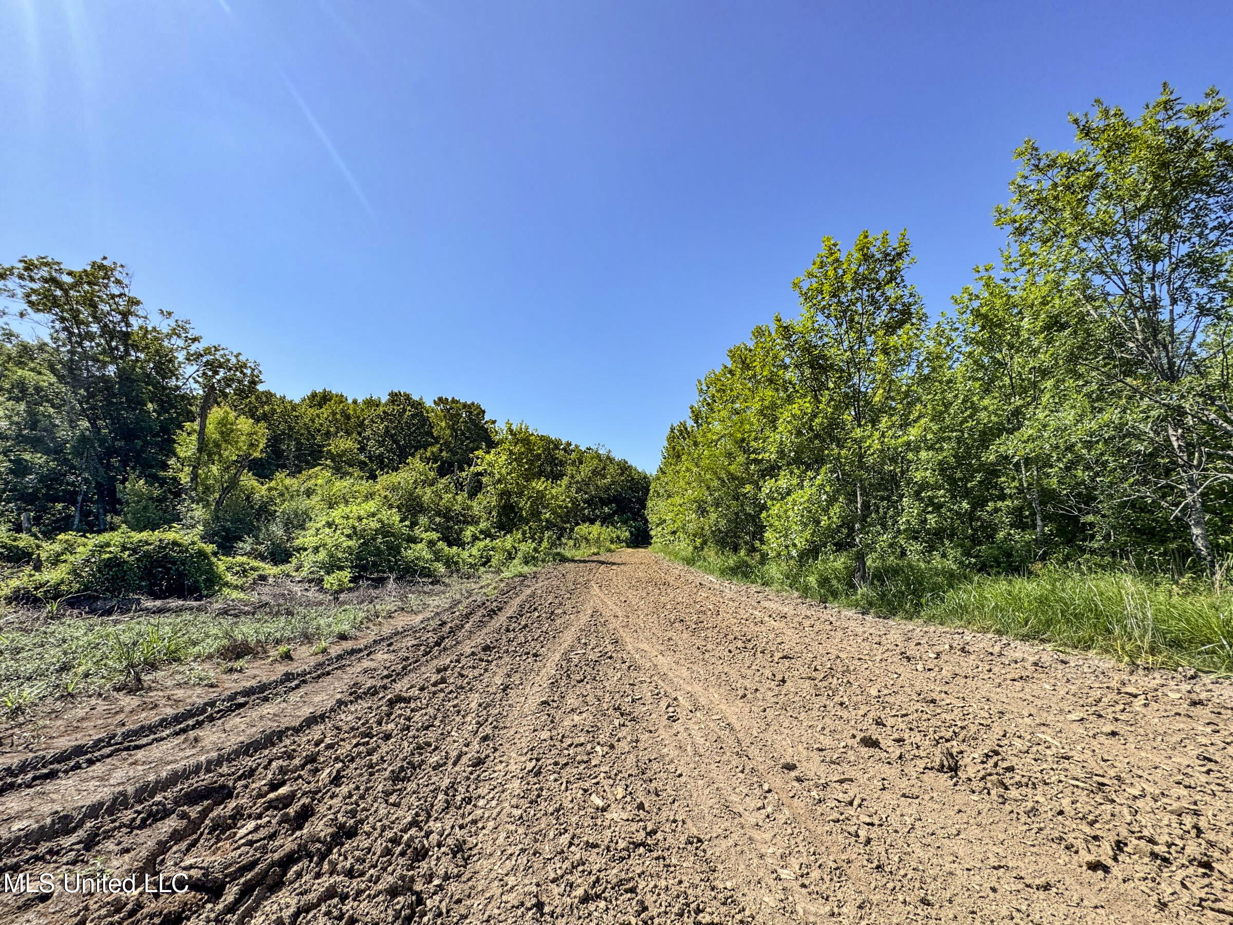 278 278th Marks, MS 38646 - Photo 120 of 125 7bobo159