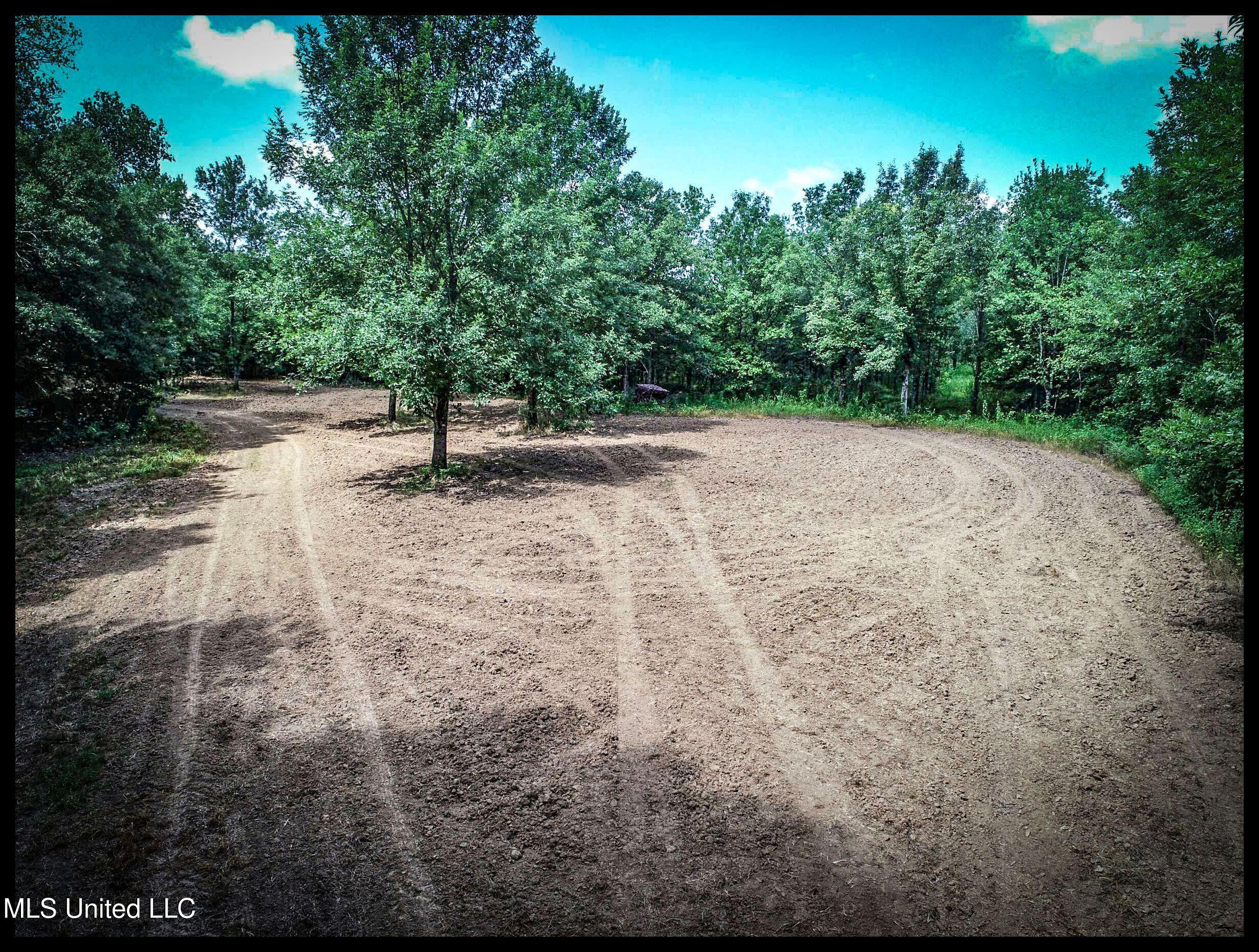 278 278th Marks, MS 38646 - Photo 12 of 125 4bobo47 copy