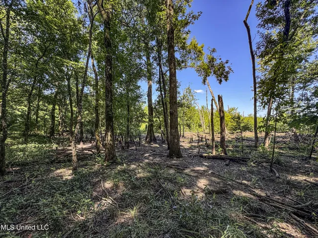 $779,000 | 278 278th, Marks, MS 38646