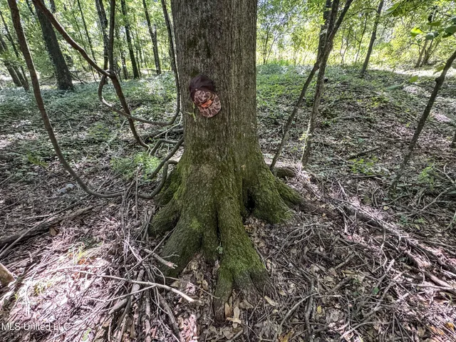 $779,000 | 278 278th, Marks, MS 38646