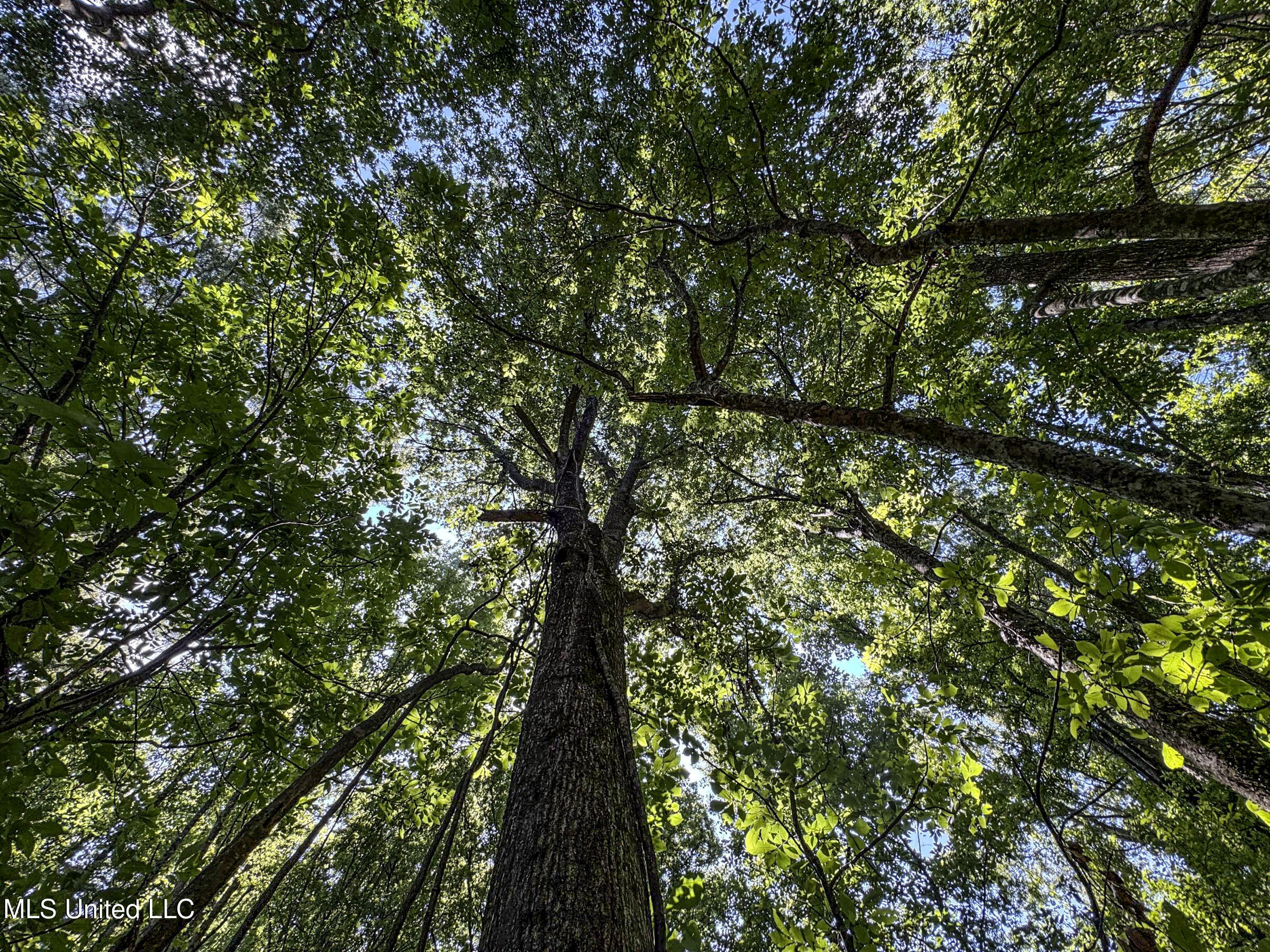 278 278th Marks, MS 38646 - Photo 125 of 125 7bobo178