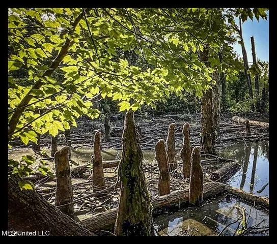 $779,000 | 278 278th, Marks, MS 38646