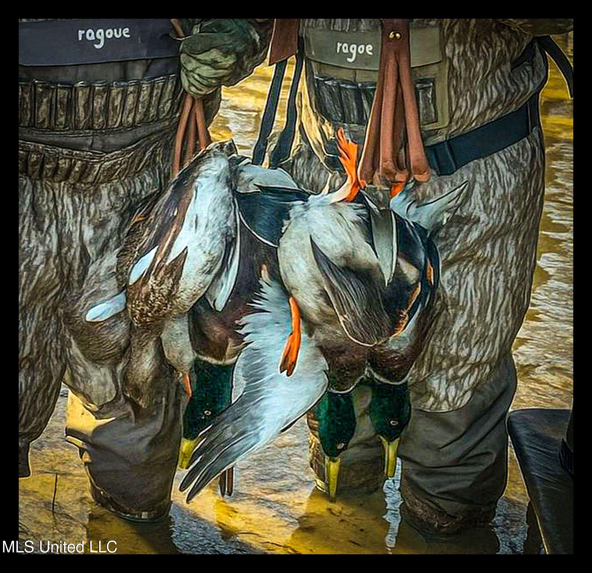 278 278th Marks, MS 38646 - Photo 19 of 125 bobo ducks