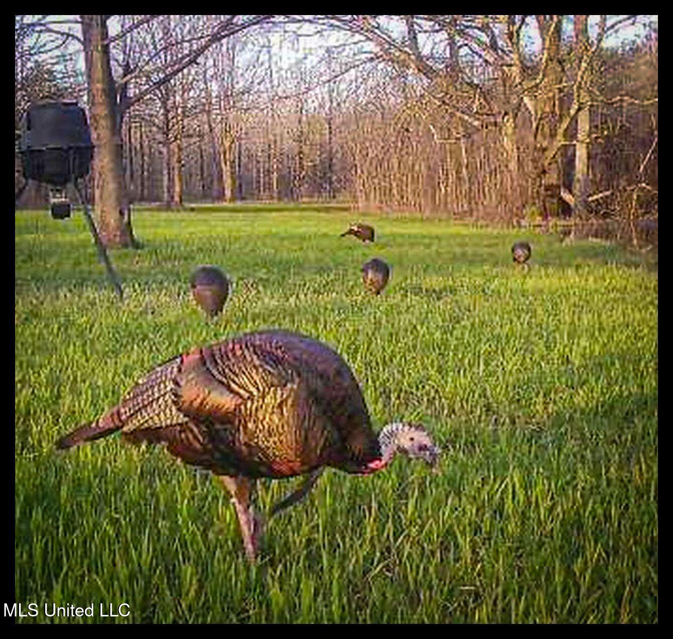 278 278th Marks, MS 38646 - Photo 20 of 125 IMG_4640b