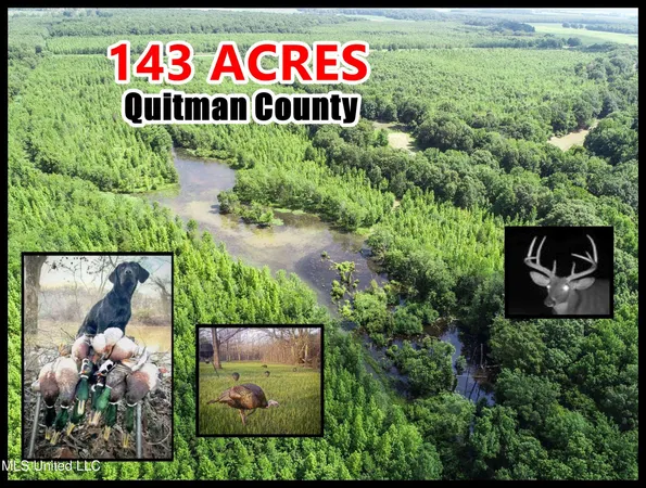 $779,000 | 278 278th, Marks, MS 38646