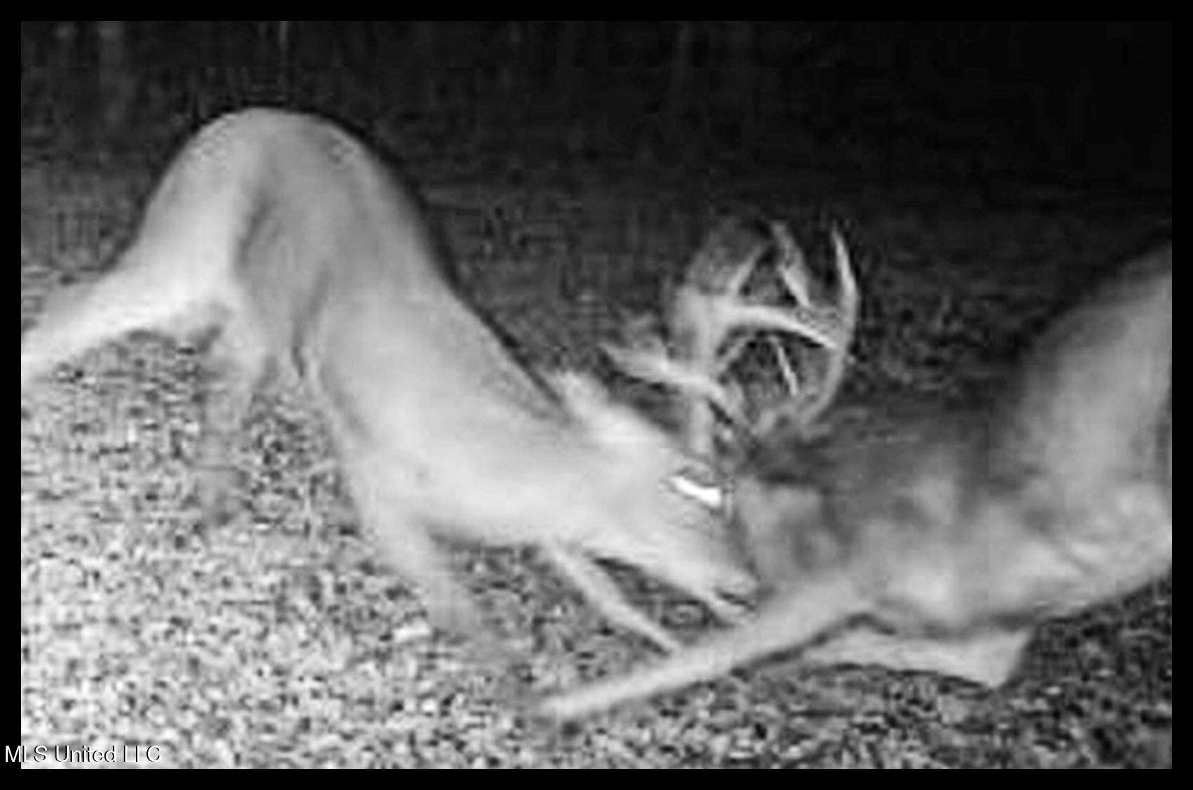 278 278th Marks, MS 38646 - Photo 21 of 125 FullSizeRender 2c