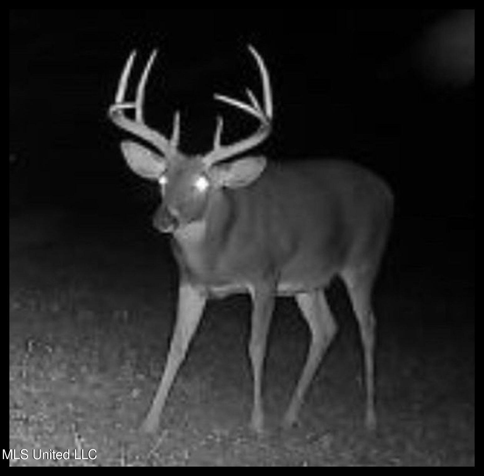 278 278th Marks, MS 38646 - Photo 22 of 125 FullSizeRender 6c