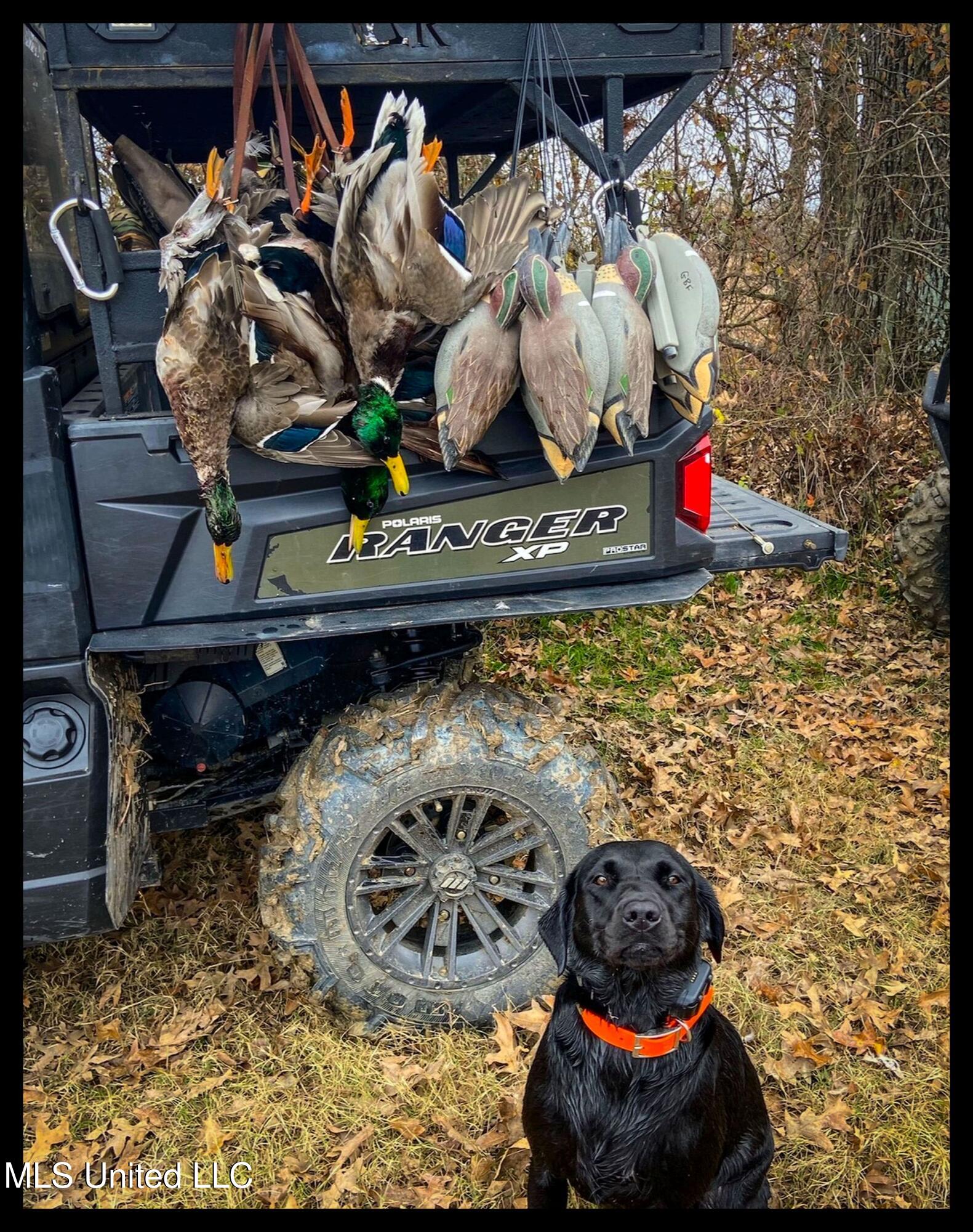 278 278th Marks, MS 38646 - Photo 24 of 125 bobo ducksc