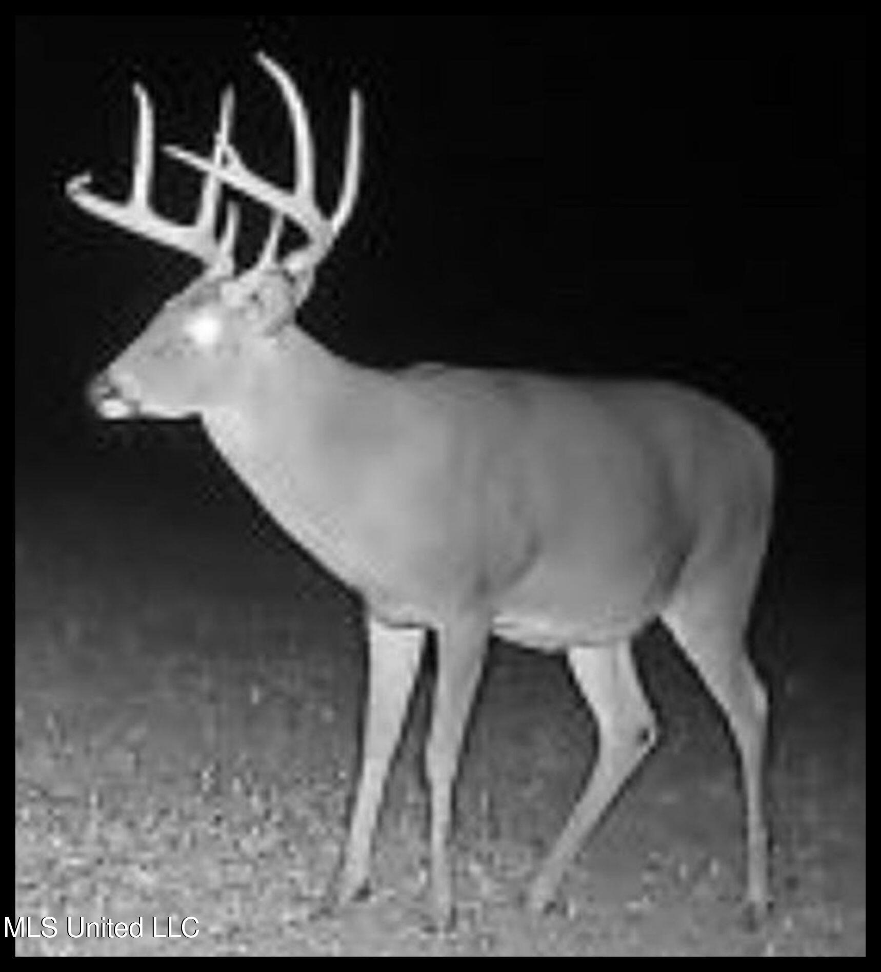 278 278th Marks, MS 38646 - Photo 25 of 125 FullSizeRender 7c