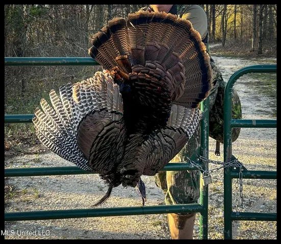 $779,000 | 278 278th, Marks, MS 38646