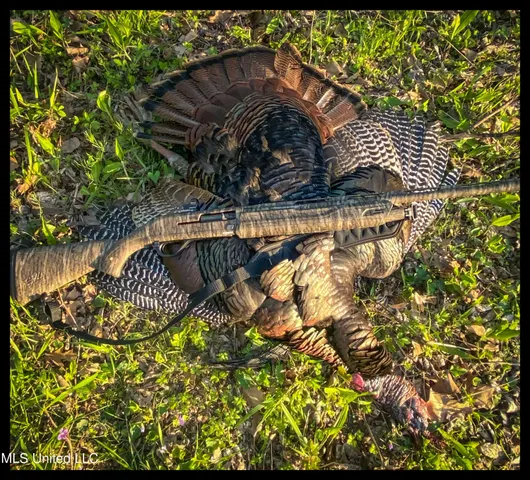 $779,000 | 278 278th, Marks, MS 38646