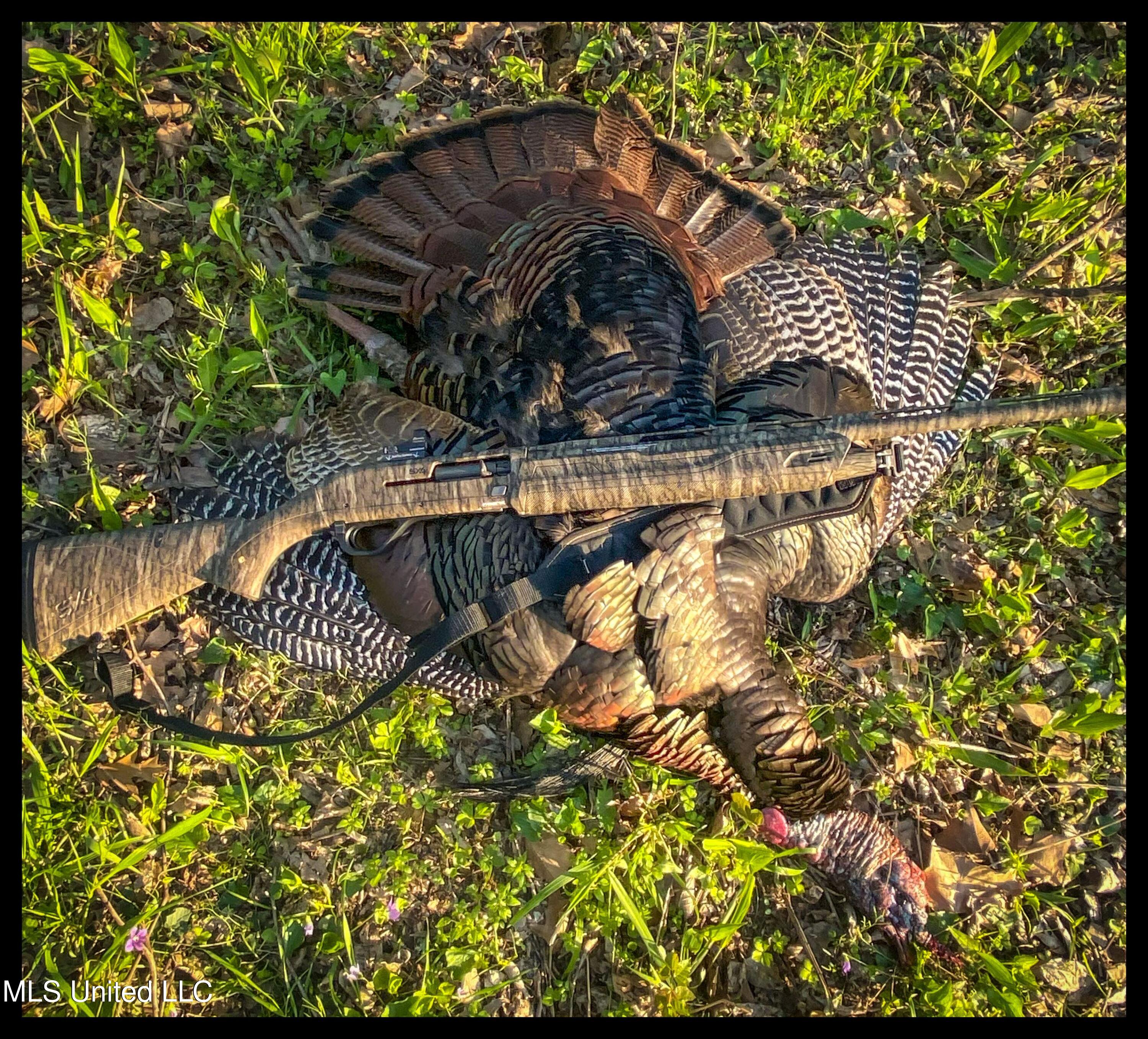 278 278th Marks, MS 38646 - Photo 28 of 125 IMG_3255b